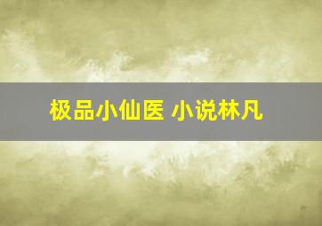 极品小仙医 小说林凡